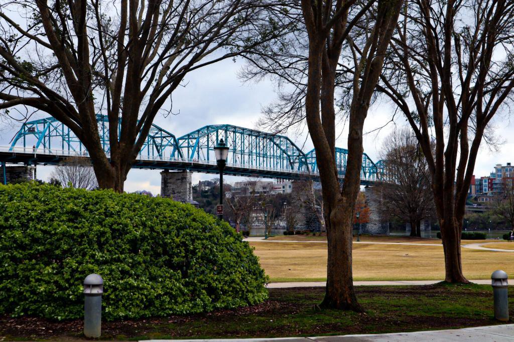 Coolidge Park view of Walnut Street Bridge 